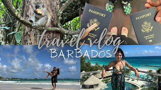 Travel Vlog Come with me to Barbados  Meet New Bae  Sandals Royal Barbados Monkey Sanctuary [upl. by Vernier]