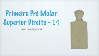 Primeiro Pré Molar Superior Direito  14 [upl. by Aitak761]