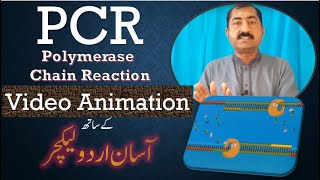 PCR Polymerase Chain Reaction Video Animation Urdu Lecture [upl. by Filip]