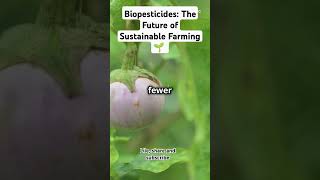 Biopesticides The Future of Sustainable Farming 🌱 trendingvideos pestcontrol science [upl. by Enneyehc423]