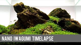 Nano Iwagumi HardscapeTimelapse and Development in a Dennerle Scaper’s Tank [upl. by Vachell]