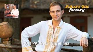 Ion Paladi  Dirlidinga official [upl. by Ecirtaeb]