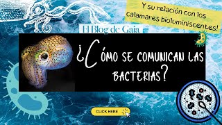 ¿Las bacterias se comunican  Quorum sensing en bacterias  El Blog de Gaia [upl. by Oleta581]