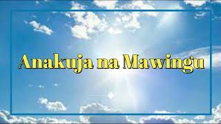 Anakuja na Mawingu  Mch Daniel Mwasumbi Official Music [upl. by Gwenni]