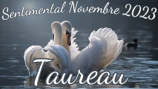 ♉TAUREAU ❤️Vous Allez Réussir À Allier Projets Personnels Et Vie À Deux❤️ Sentimental Novembre 2023 [upl. by Nastassia376]