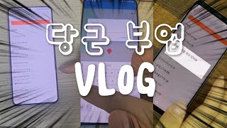 당근으로 부업해서 제2월급 버는 사람 vlog [upl. by Ariella]