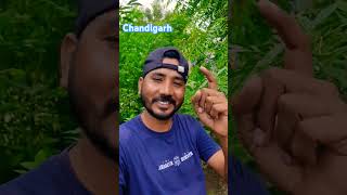 Chandigarh new gana kamal pakhi Subscribe song punjabisong punjabi newsong music singer [upl. by Nurat]