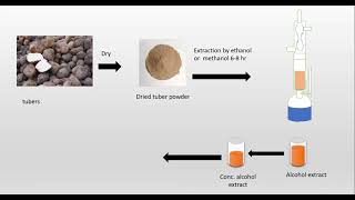 Isolation and identification Diosgenin from Dioscorea [upl. by Hildagard]