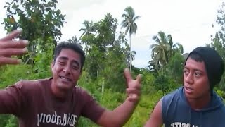 Le Nifoloa  Samoan Lover Official Music Video [upl. by Cayla]