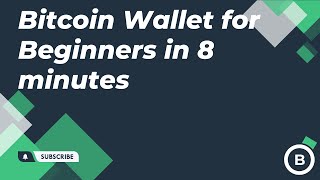 Bitcoin Wallet for Beginners in 8 minutes [upl. by Eiramrebma]