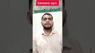 sameera agro share latest news nvesting investment stocks bonus shorts stockmarket investing [upl. by Aiekal3]