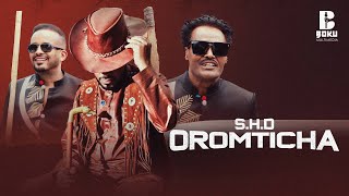 Desu Ambo ft Sayyoo Dandanaa Oromtichaa New Oromo music 2024 [upl. by Ecnarepmet895]