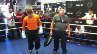 Canelo Alvarez Training For Alfonso Gomez [upl. by Jodee]