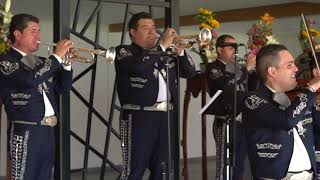 MARIACHI NUEVO TECALITLÁN  LA FERIA DE LAS FLORES [upl. by Hamburger]