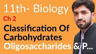 FSc Biology Book 1 Ch 2  Oligosaccharides amp Polysaccharides  Inter part 1 Biology [upl. by Oterol358]