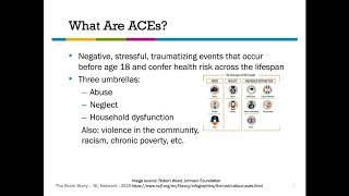 The Brain Story The Impact of Adverse Childhood Experiences [upl. by Linn]