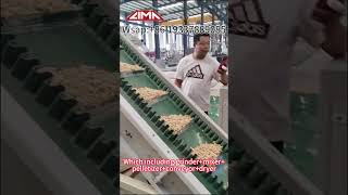 Poultry Feed Production LineWhat Is The Production Process Of Poultry Feed chickenfeed [upl. by Luckin]