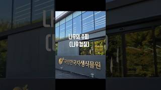 국립한국자생식물원 나무의수피 평창 [upl. by Aip]