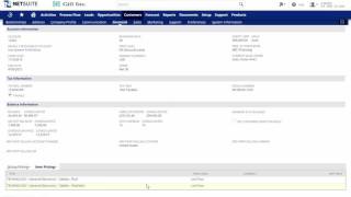 NetSuite Customer 360 Demonstration [upl. by Moseley]