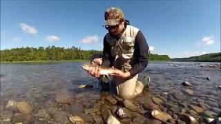 New Brunswick Fly Fishing [upl. by Nilyam]