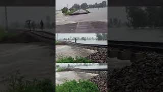 Jiya Ho Bihari😭😭viralvideo ganga river nepal [upl. by Dreddy]