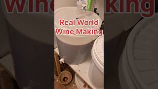 Real World Wine Making [upl. by Kathlene]