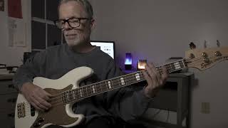 No Ordinary Love Sade Bass Cover [upl. by Platt]