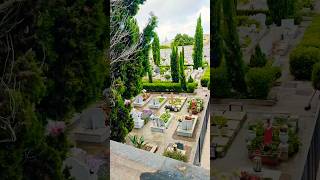 cemetery italy capri anacapri capricemetery travelgram instagram shorts vlogs travelvlog [upl. by Cleres]