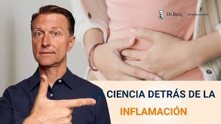 LA CIENCIA DETRÁS DE LA INFLAMACIÓN [upl. by Dyanne715]