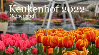 Keukenhof 2022 flower garden in Netherlands [upl. by Driscoll221]