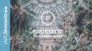 Brussels Royal Greenhouses of Laeken [upl. by Anit192]