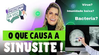 O que causa a Sinusite [upl. by Ylelhsa]