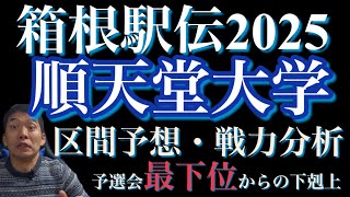 【箱根駅伝2025】区間予想順天堂大学編予選会最下位からの下剋上！ [upl. by Ynohtnanhoj]