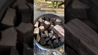 Making charcoal from walnut wood inspire to learn more 👌🏻 [upl. by Russi]