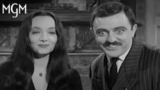 Best of Morticia amp Gomez Addams  MGM Studios [upl. by O'Donnell]