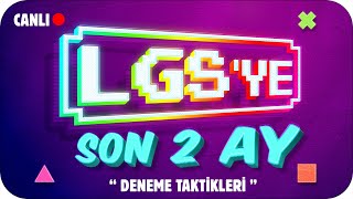 LGS Deneme Netlerini TAVAN YAPACAK TAKTÄ°KLERâ— LGSYE SON 2 AY ğŸ¯ [upl. by Karr]