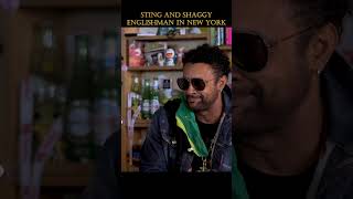 Sting and Shaggy  Tiny Desk Concert [upl. by Tyika298]