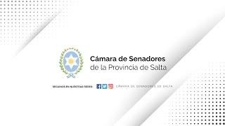 VIVO  31° SESIÓN ORDINARIA  126° PERIODO LEGISLATIVO  CÁMARA DE SENADORES DE SALTA [upl. by Ydarg550]