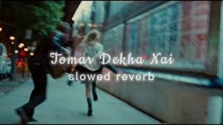 Tomar Dekha Nai  slowed reverb [upl. by Ahsienad]