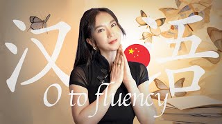 How to learn Mandarin Chinese from 0fluency  Resources Methods and Study Plans [upl. by Shep255]