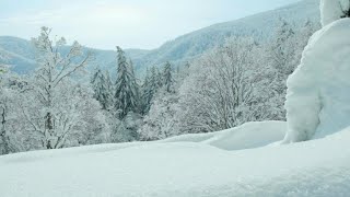 Le Foreste patrimonio dell’Umanità in inverno [upl. by Orabelle]