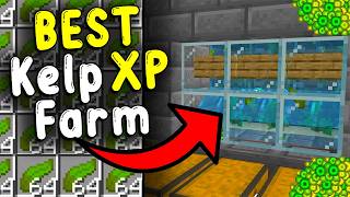 The BEST KELP XP Farm In Minecraft Bedrock 121 [upl. by Enirod]