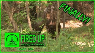 PA State Forest turkey hunt I 1st encounter in 9 days of hunting I Fired Up  Day 32 [upl. by Sells]