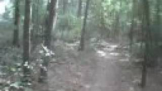 Trussville Sports Complex Mtn Bike Ride [upl. by Cirdnek]