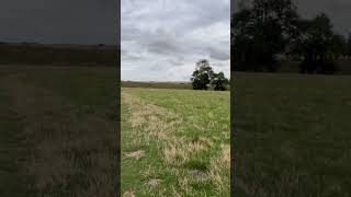 ASMR Nature Walk  Avebury England [upl. by Lirrehs]