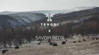 Tengri x Savoir Beds [upl. by Ahsenauj116]