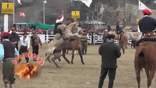 Fragmento de una jineteada en Saladillo Fiestas Patrias [upl. by Melton1]