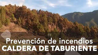 Los trabajos de prevención en la Caldera de Taburiente [upl. by Schlesinger64]