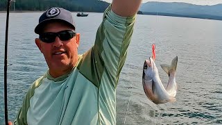 Stampede Reservoir Fishing Report [upl. by Benni129]