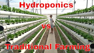 Hydroponics vs Traditional Farming A Comparative Study [upl. by Htieh]